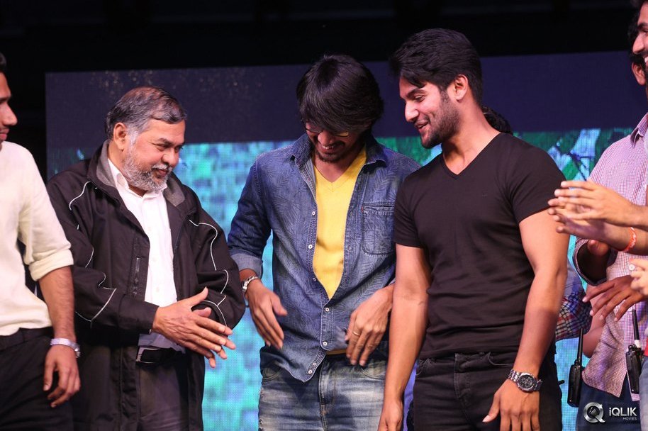 Seethamma-Andaalu-Raamayya-Sithraalu-Platinum-Disc-Function